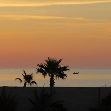 Ground Floor Studio With Access To Beach And Pool Le Barcarès Dış mekan fotoğraf
